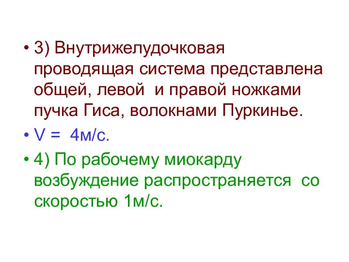 3) Внутрижелудочковая проводящая система представлена общей, левой и правой ножками пучка Гиса,