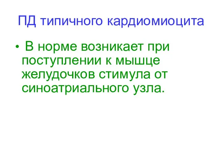 ПД типичного кардиомиоцита В норме возникает при поступлении к мышце желудочков стимула от синоатриального узла.