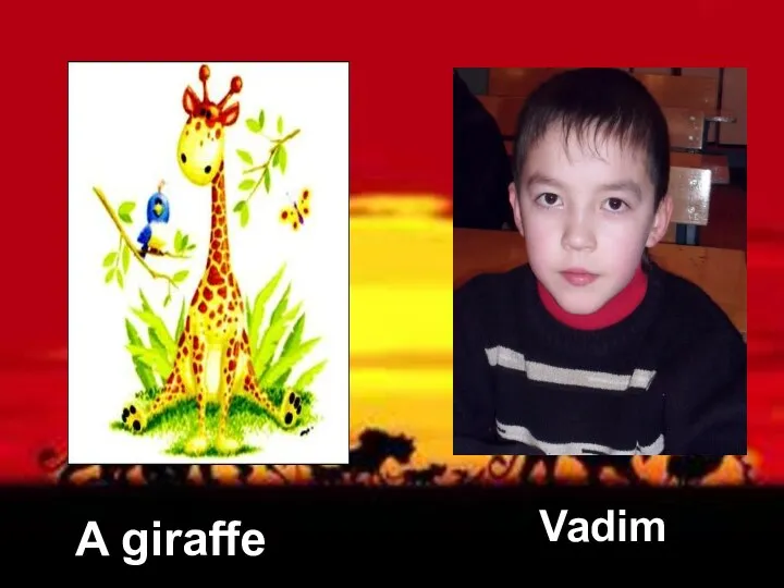 A giraffe Vadim