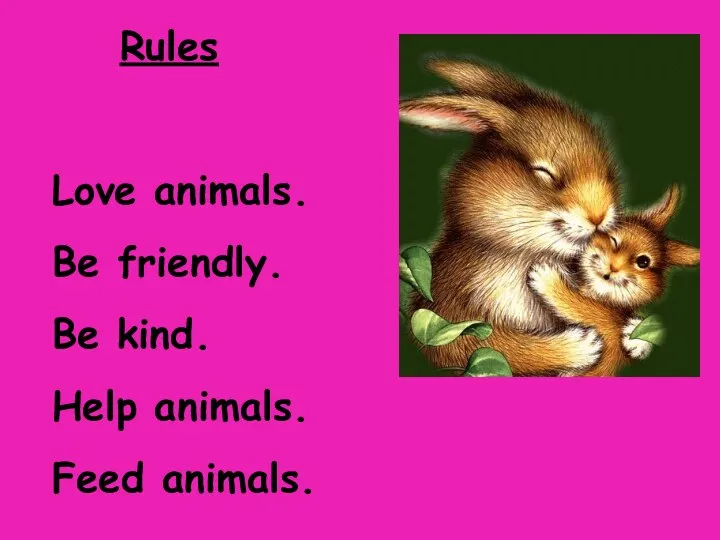 Rules Love animals. Be friendly. Be kind. Help animals. Feed animals.