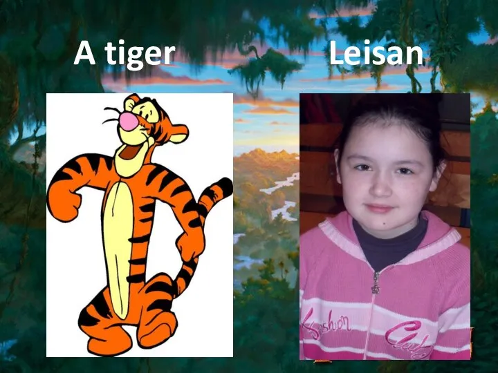A tiger Leisan