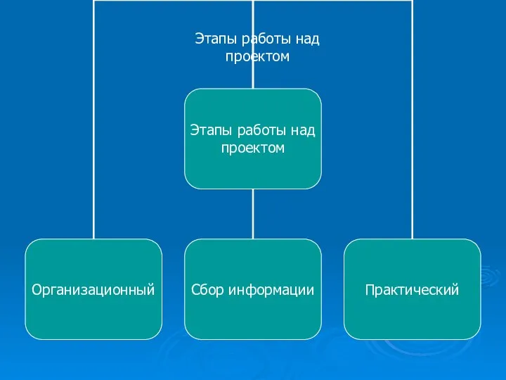 Этапы работы над проектом