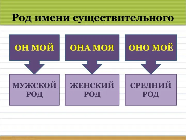 Род имени существительного ОН МОЙ ОНА МОЯ ОНО МОЁ МУЖСКОЙ РОД ЖЕНСКИЙ РОД СРЕДНИЙ РОД