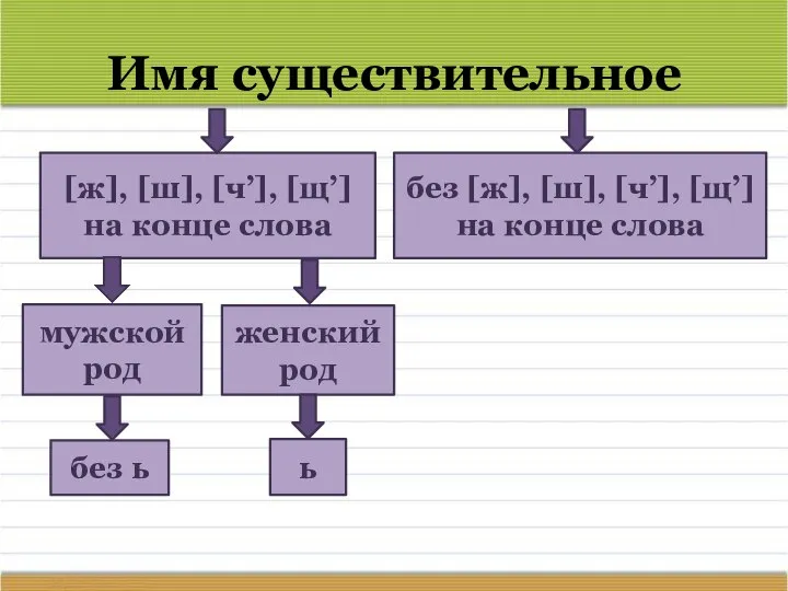 Имя существительное [ж], [ш], [ч’], [щ’] на конце слова без [ж], [ш],