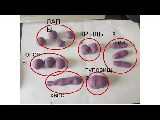 ЛАПЫ 3 шеи КРЫЛЬЯ туловище Головы хвост