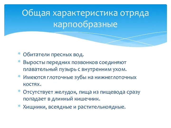 Обитатели пресных вод. Выросты передних позвонков соединяют плавательный пузырь с внутренним ухом.