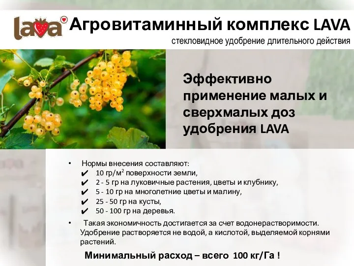 Агровитаминный комплекс LAVA стекловидное удобрение длительного действия Нормы внесения составляют: 10 гр/м2