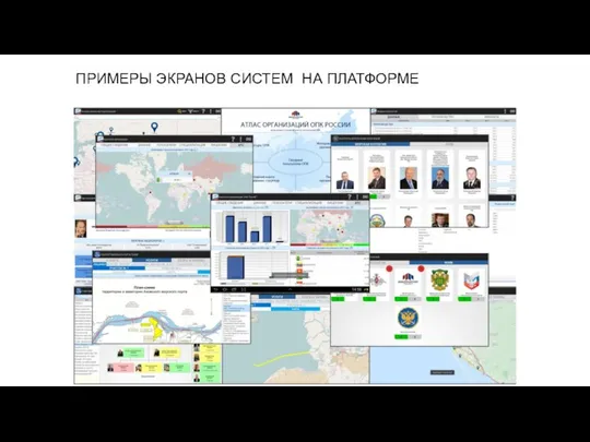 ПРИМЕРЫ ЭКРАНОВ СИСТЕМ НА ПЛАТФОРМЕ