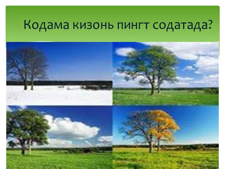 Кодама кизонь пингт содатада?