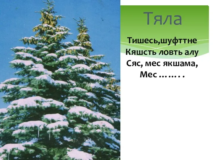 Тяла Тишесь,шуфттне Кяшсть ловть алу Сяс, мес якшама, Мес ……. .