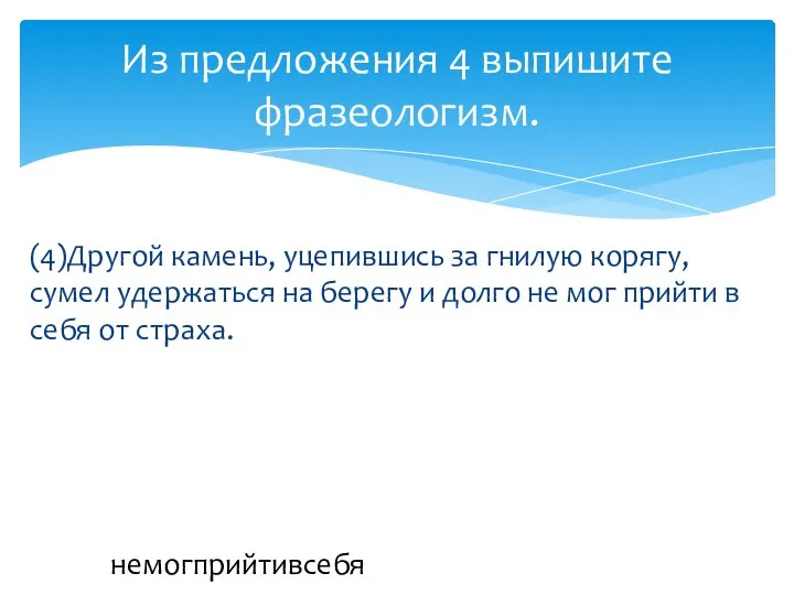 (4)Другой камень, уцепившись за гнилую корягу, сумел удержаться на берегу и долго