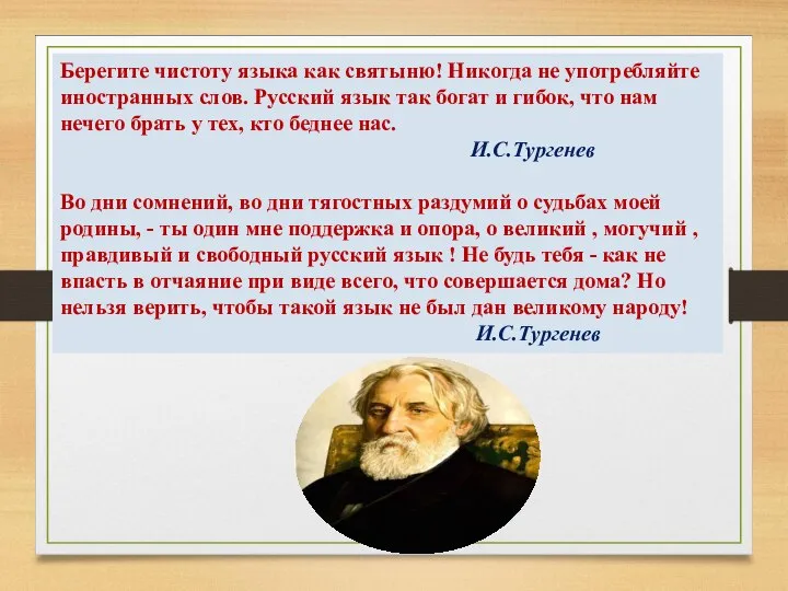 Берегите чистоту языка как святыню! Никогда не употребляйте иностранных слов. Русский язык