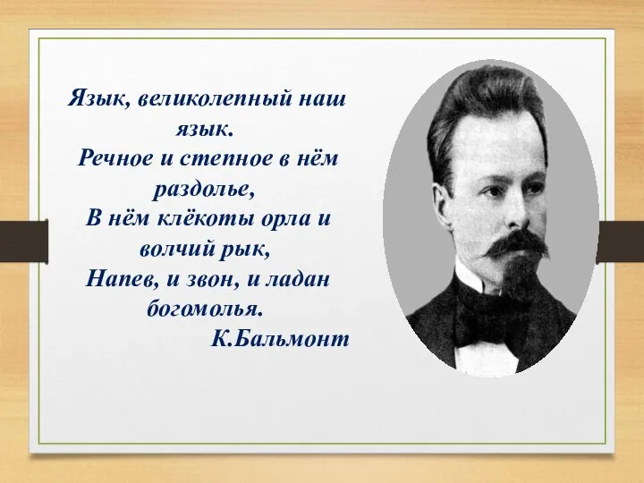 Язык, великолепный наш язык. Речное и степное в нём раздолье, В нём