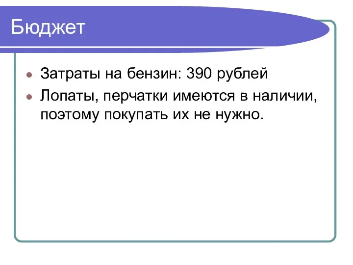 Бюджет Затраты на бензин: 390 рублей Лопаты, перчатки имеются в наличии, поэтому покупать их не нужно.