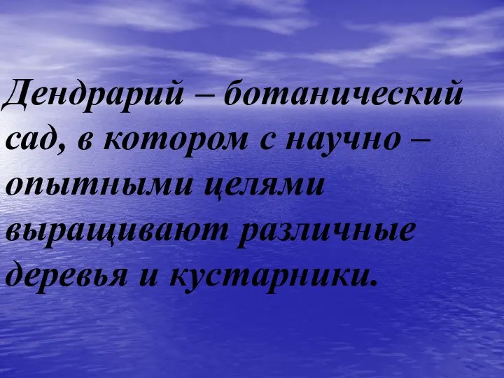 Дендрарий – ботанический сад, в котором с научно – опытными целями выращивают различные деревья и кустарники.