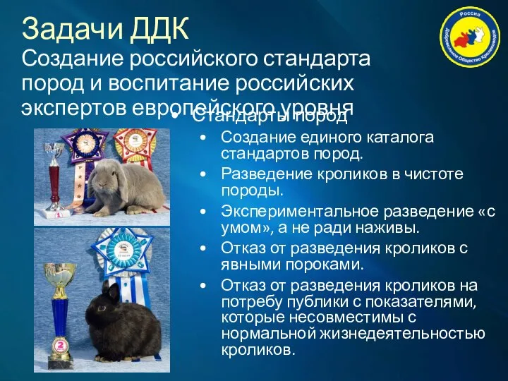 Задачи ДДК Создание российского стандарта пород и воспитание российских экспертов европейского уровня