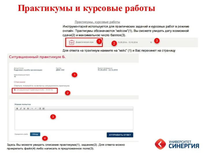 Практикумы и курсовые работы