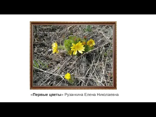 «Первые цветы» Рузанкина Елена Николаевна