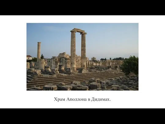 Храм Аполлона в Дидимах.