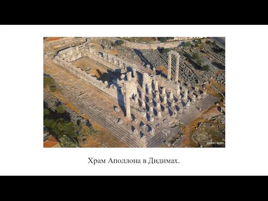 Храм Аполлона в Дидимах.