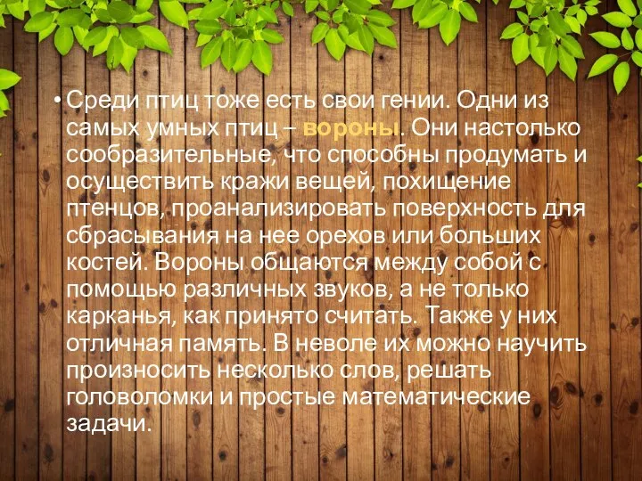 Среди птиц тоже есть свои гении. Одни из самых умных птиц –