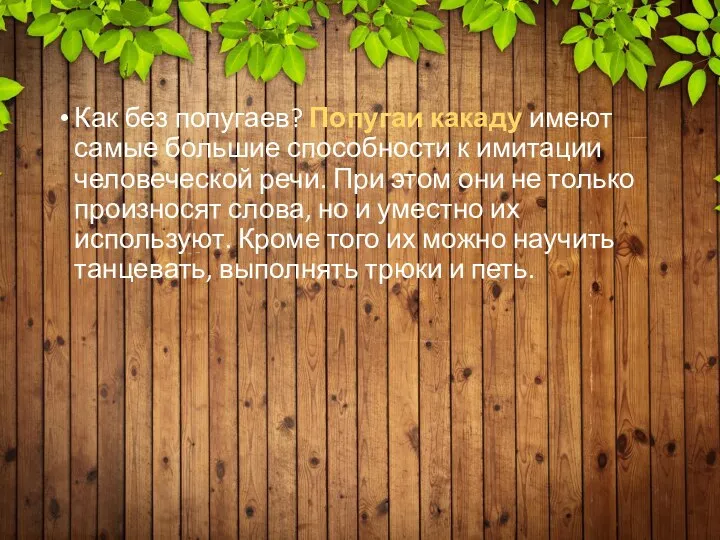 Как без попугаев? Попугаи какаду имеют самые большие способности к имитации человеческой