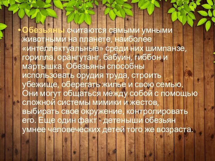 Обезьяны считаются самыми умными животными на планете, наиболее «интеллектуальные» среди них шимпанзе,