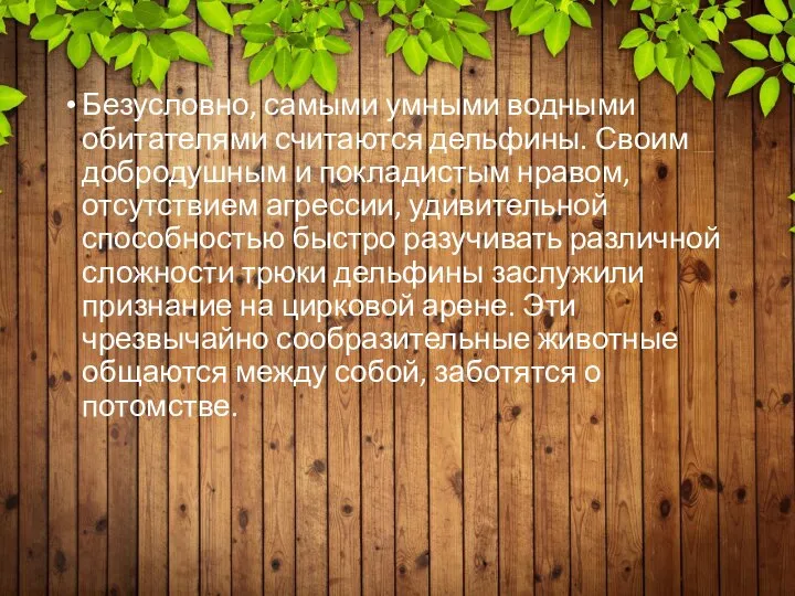 Безусловно, самыми умными водными обитателями считаются дельфины. Своим добродушным и покладистым нравом,