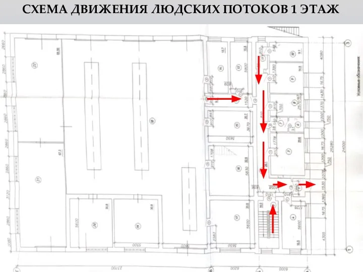 СХЕМА ДВИЖЕНИЯ ЛЮДСКИХ ПОТОКОВ 1 ЭТАЖ