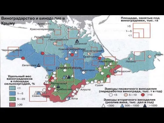 Виноградарство и виноделие в Крыму