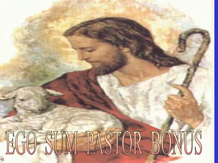 EGO SUM PASTOR BONUS