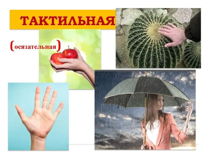 ТАКТИЛЬНАЯ (осязательная)