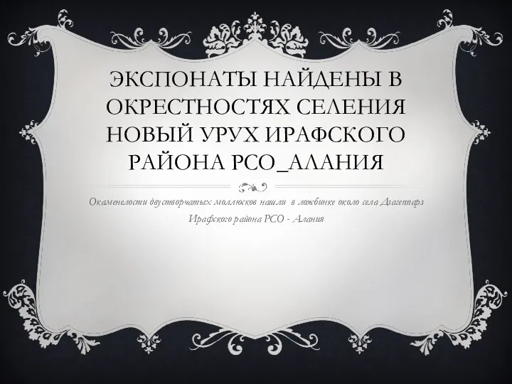 ЭКСПОНАТЫ НАЙДЕНЫ В ОКРЕСТНОСТЯХ СЕЛЕНИЯ НОВЫЙ УРУХ ИРАФСКОГО РАЙОНА РСО_АЛАНИЯ Окаменелости двустворчатых