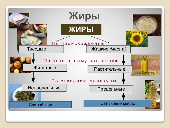 Жиры ЖИРЫ П о п р о и с х о ж