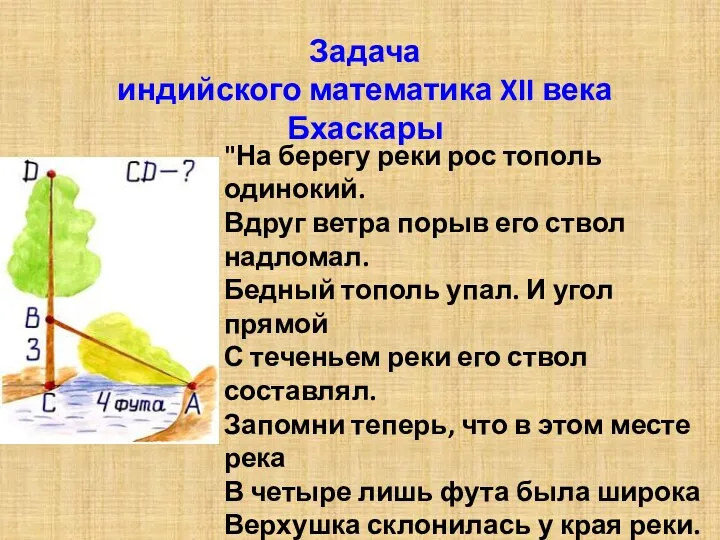 Задача индийского математика XII века Бхаскары "На берегу реки рос тополь одинокий.