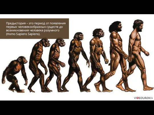Предыстория – это период от появления первых человекообразных существ до возникновения человека разумного (Homo Sapiens Sapiens).