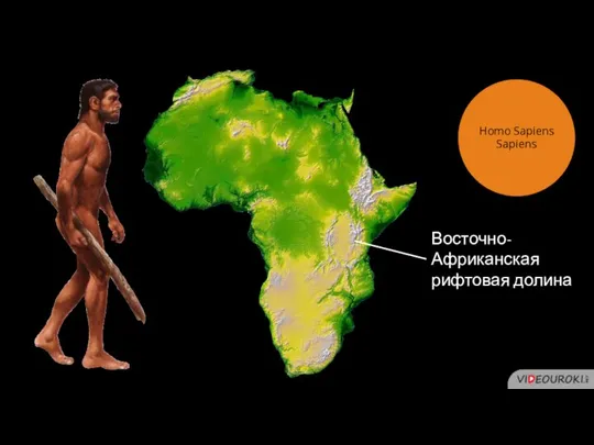 Восточно-Африканская рифтовая долина Homo Sapiens Sapiens