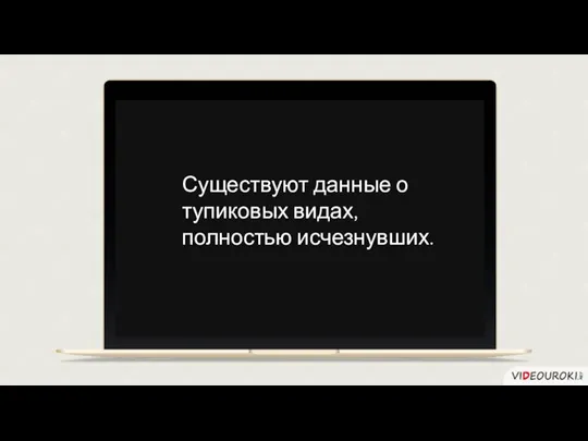 Существуют данные о тупиковых видах, полностью исчезнувших.