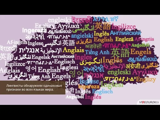 Лингвисты обнаружили одинаковые признаки во всех языках мира.
