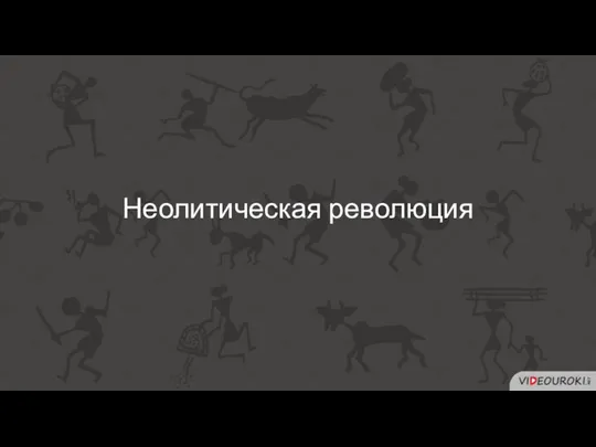 Неолитическая революция