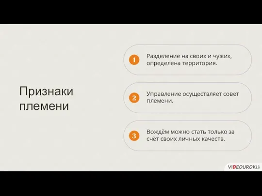 Признаки племени Разделение на своих и чужих, определена территория. Управление осуществляет совет