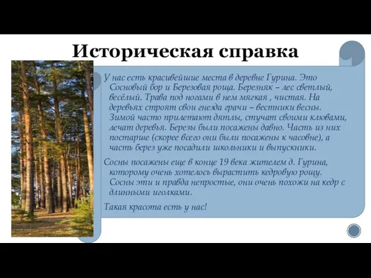 Историческая справка У нас есть красивейшие места в деревне Гурина. Это Сосновый