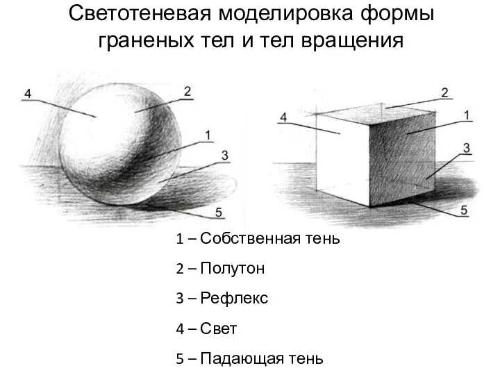 Светотеневая моделировка формы граненых тел и тел вращения 1 – Собственная тень