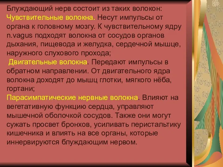 Блуждающий нерв состоит из таких волокон: Чувствительные волокна. Несут импульсы от органа