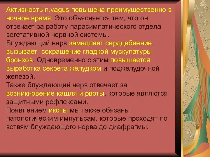 Активность n.vagus повышена преимущественно в ночное время. Это объясняется тем, что он