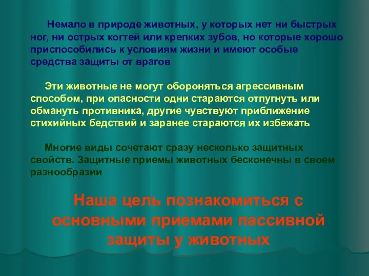 Немало в природе животных, у которых нет ни быстрых ног, ни острых