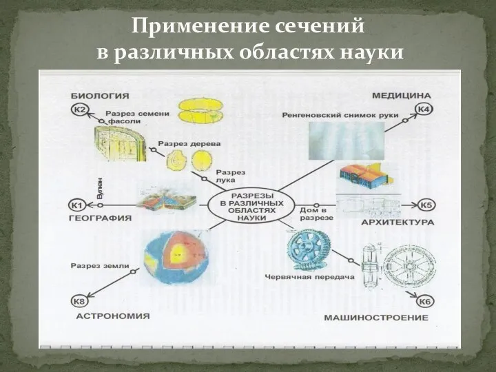 Применение сечений в различных областях науки