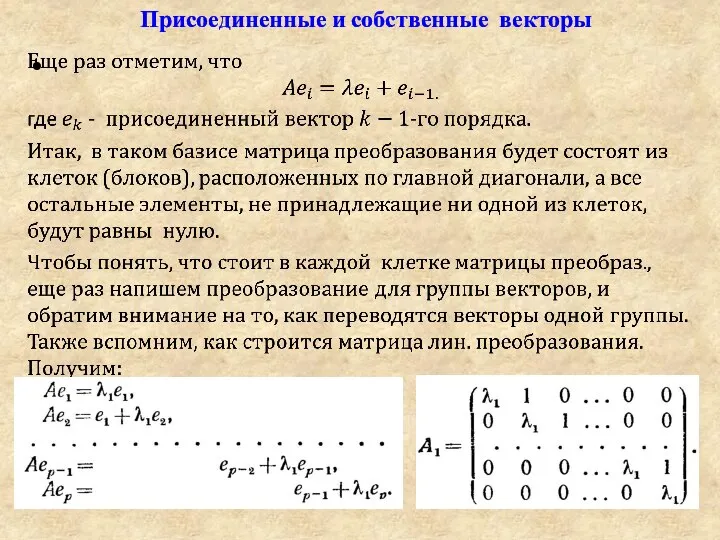 Присоединенные и собственные векторы