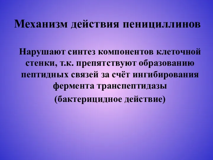 Механизм действия пенициллинов Нарушают синтез компонентов клеточной стенки, т.к. препятствуют образованию пептидных