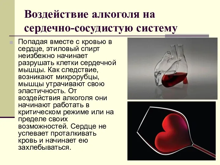 Воздействие алкоголя на сердечно-сосудистую систему Попадая вместе с кровью в сердце, этиловый